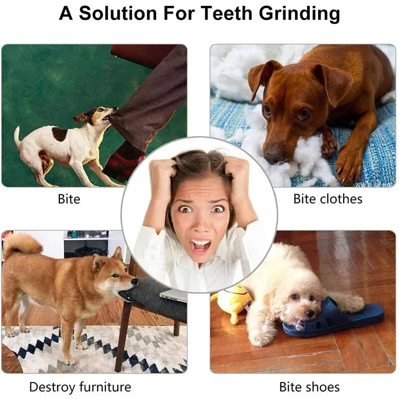 IQ Treat Dispensing Chew Ball — Interactive Dog Toy for Boredom & Teeth Cleaning