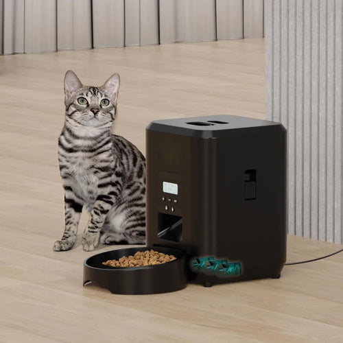 Automatic Pet Feeder with Digital Timer — Scheduled Meals for Cats & Dogs