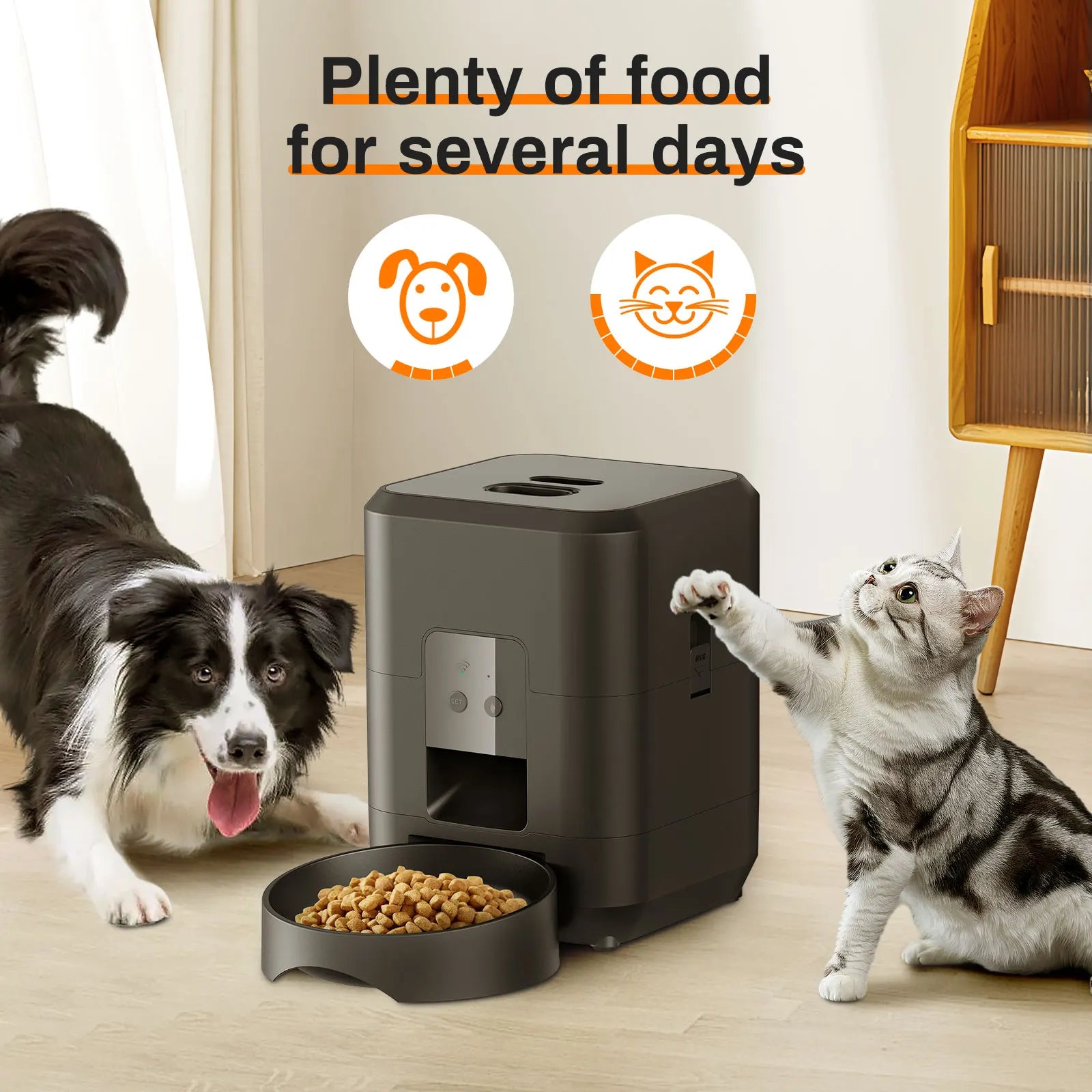 Automatic Pet Feeder with Digital Timer — Scheduled Meals for Cats & Dogs