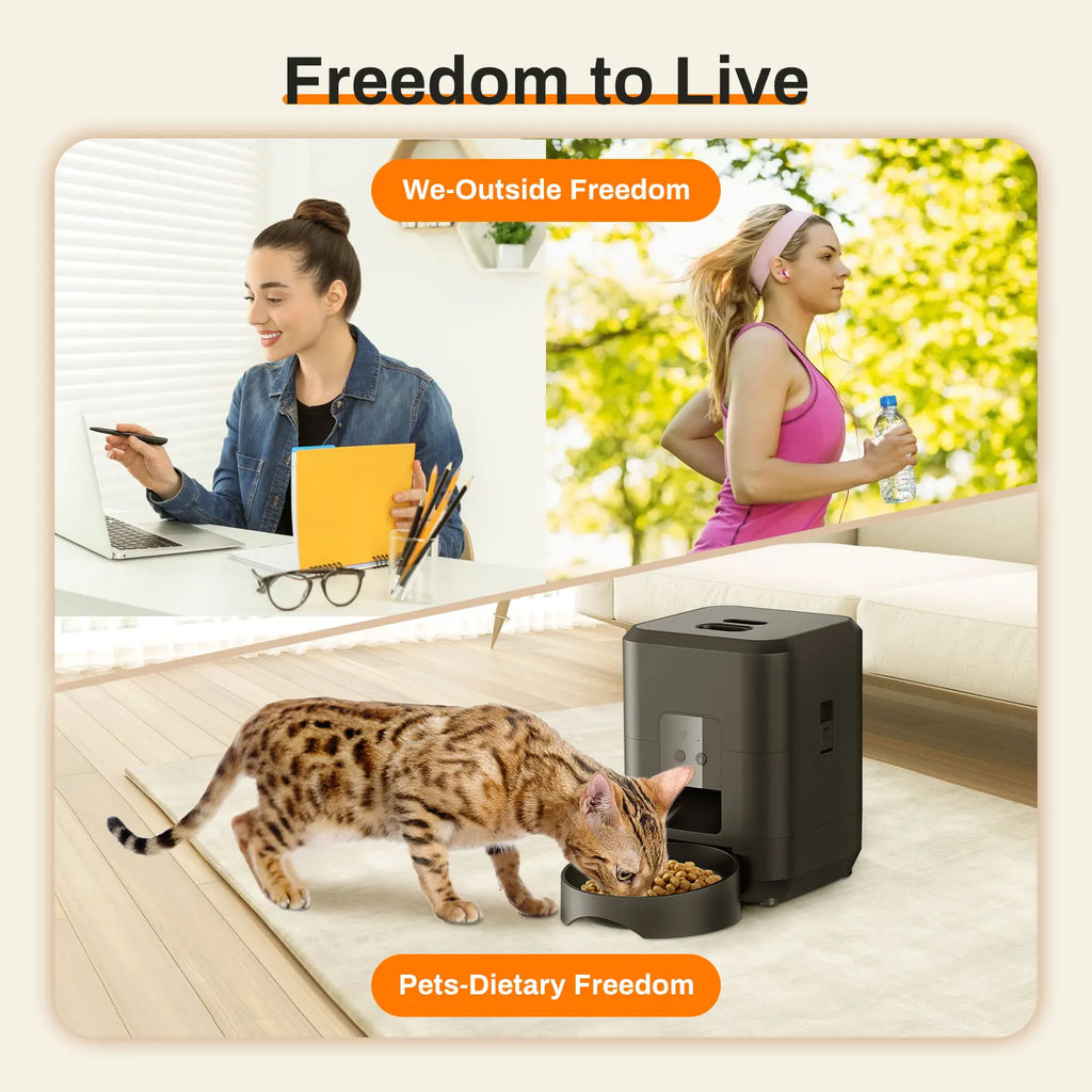 Automatic Pet Feeder with Digital Timer — Scheduled Meals for Cats & Dogs
